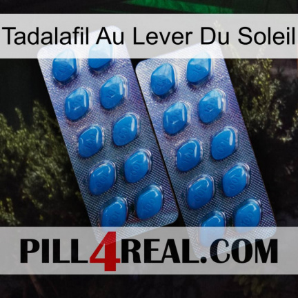 Sunrise Tadalafil viagra2